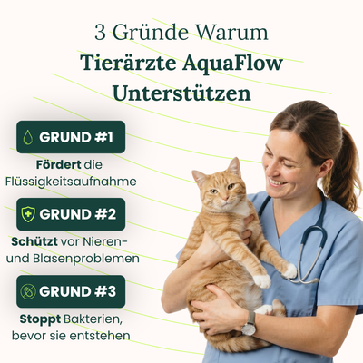 AquaFlow Katzenbrunnen