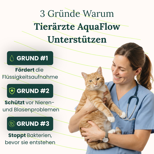 AquaFlow Katzenbrunnen