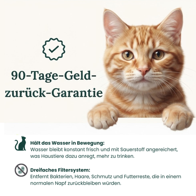 AquaFlow Katzenbrunnen
