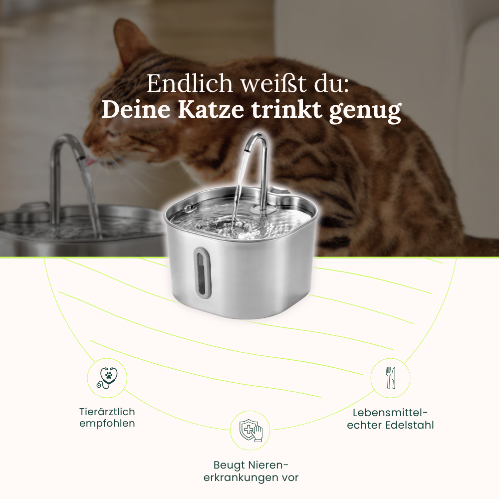 AquaFlow Katzenbrunnen