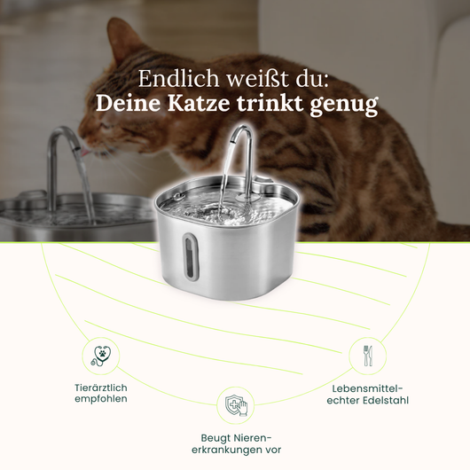 AquaFlow Katzenbrunnen