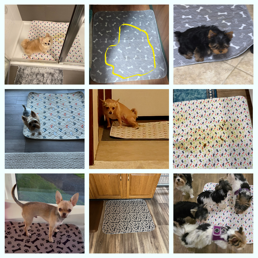 PuppyPad