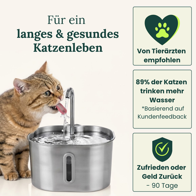 AquaFlow Katzenbrunnen