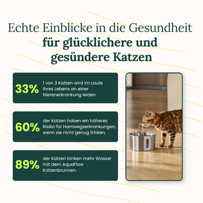 AquaFlow Katzenbrunnen