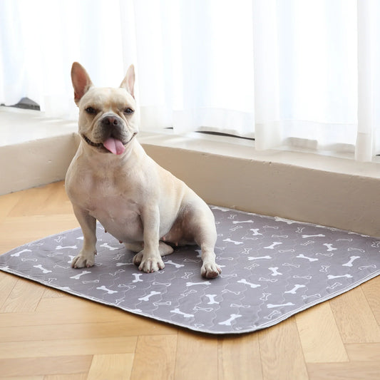 PuppyPad 3er Bundle