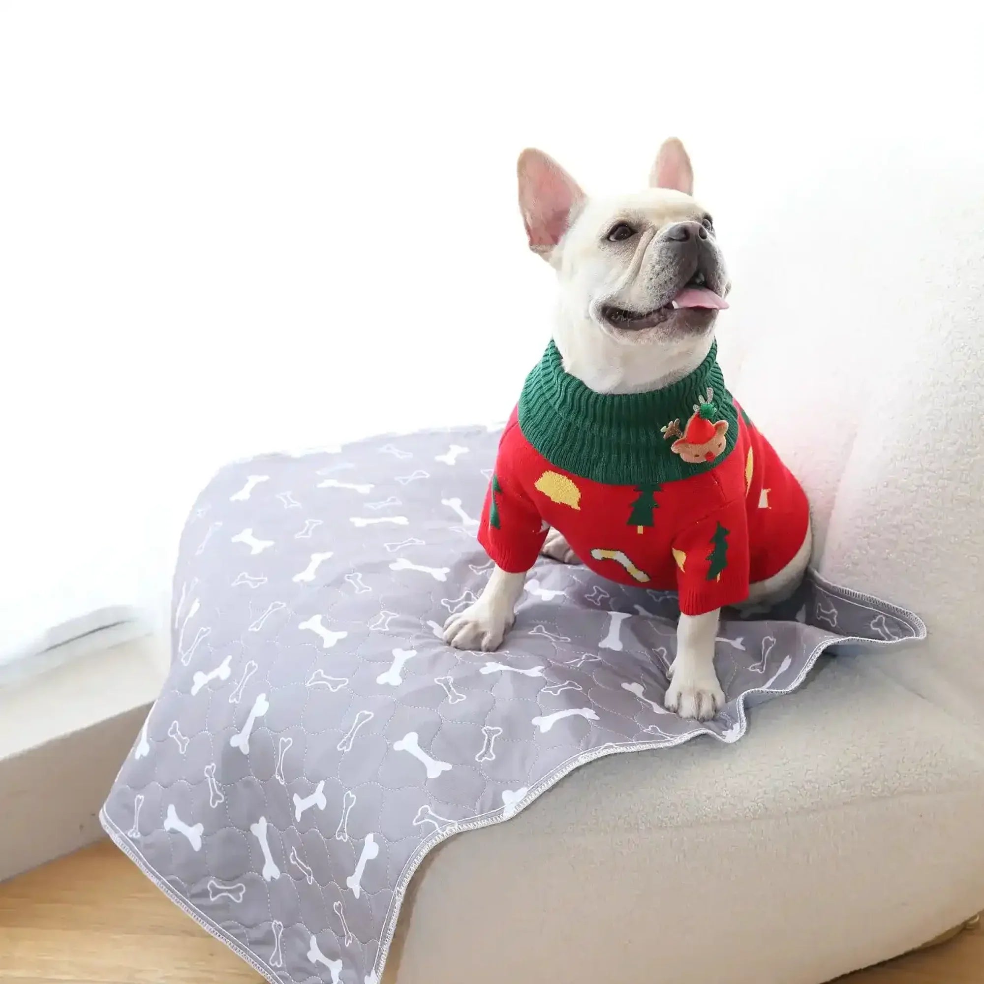PuppyPad