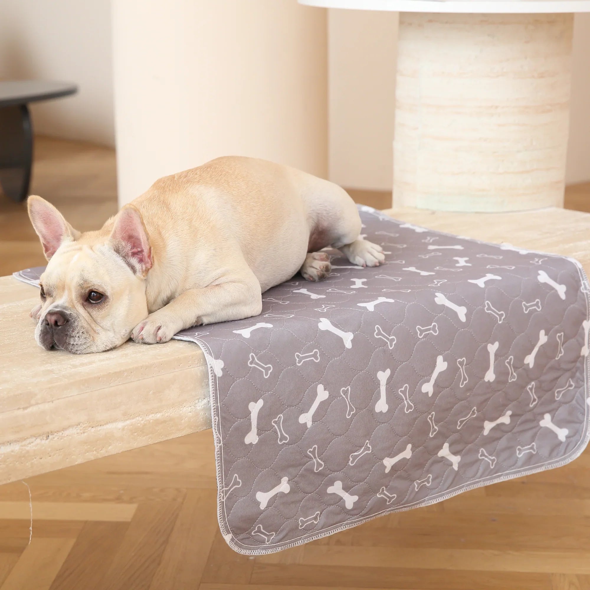 PuppyPad