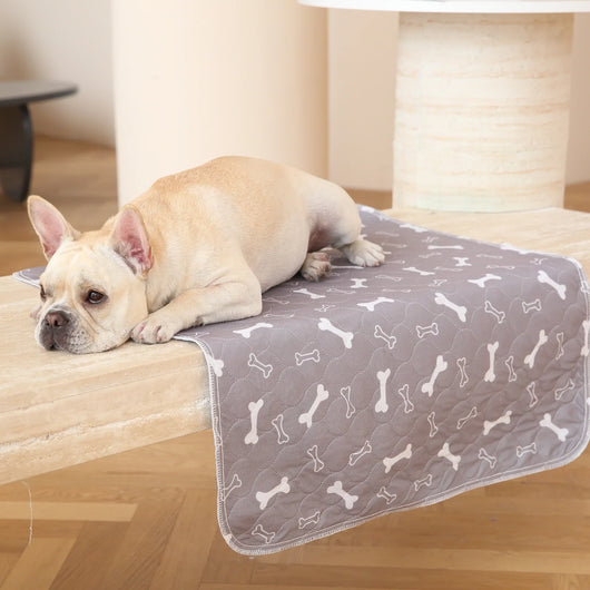 PuppyPad